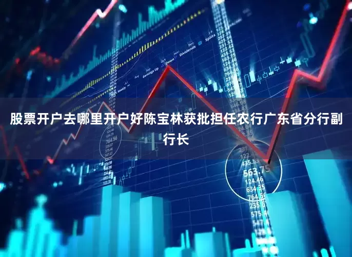 股票开户去哪里开户好陈宝林获批担任农行广东省分行副行长